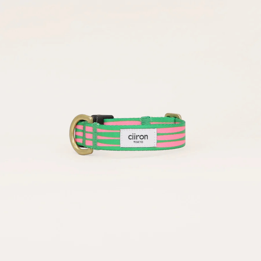 ⑦ ciiron｜Pentas 首輪